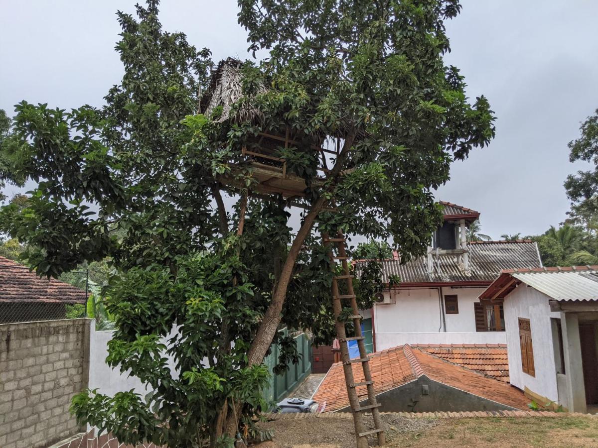 Serendip Sri Lanka Bed & Breakfast Talalla