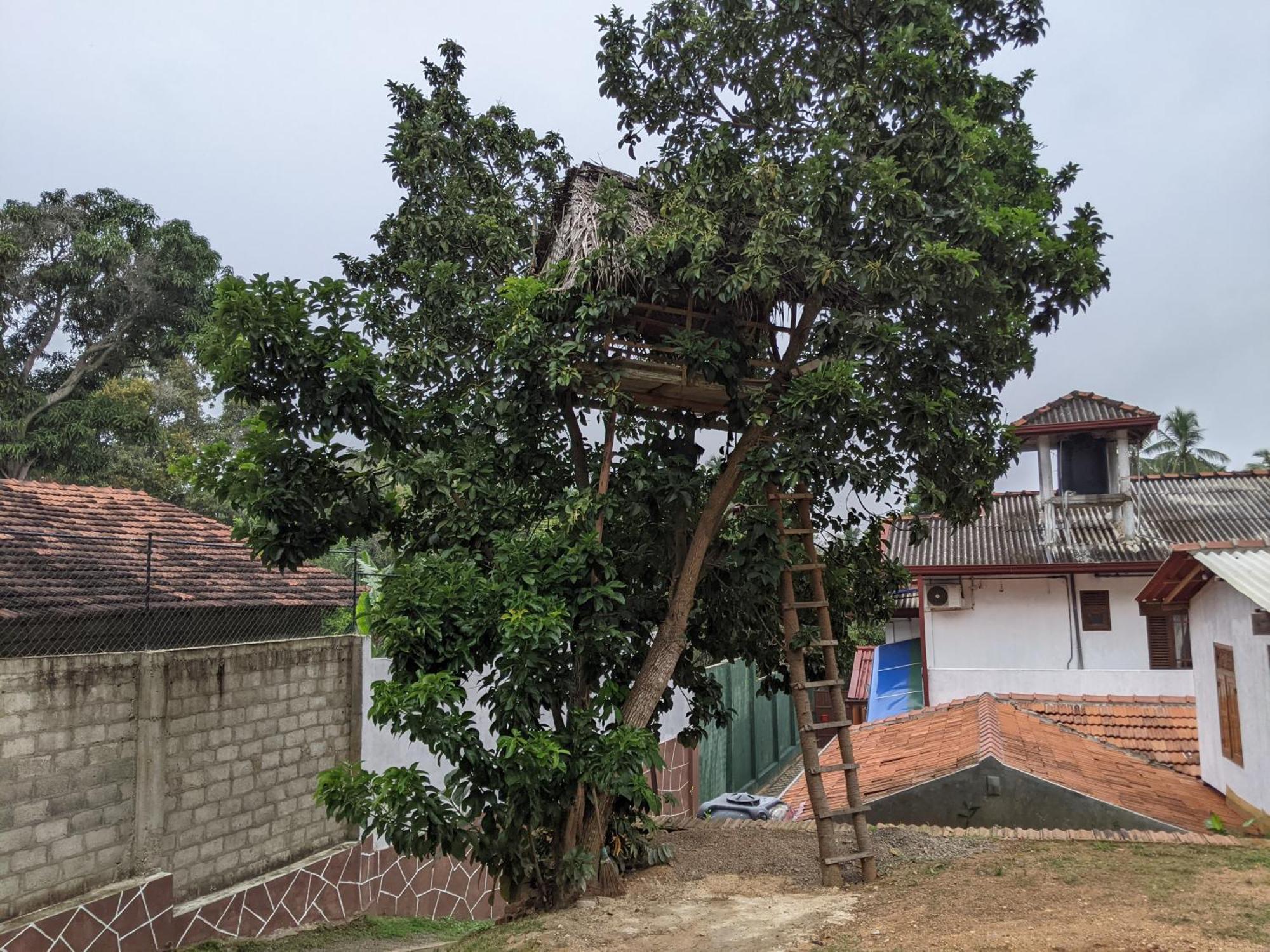 Bed & Breakfast Serendip Sri Lanka Talalla